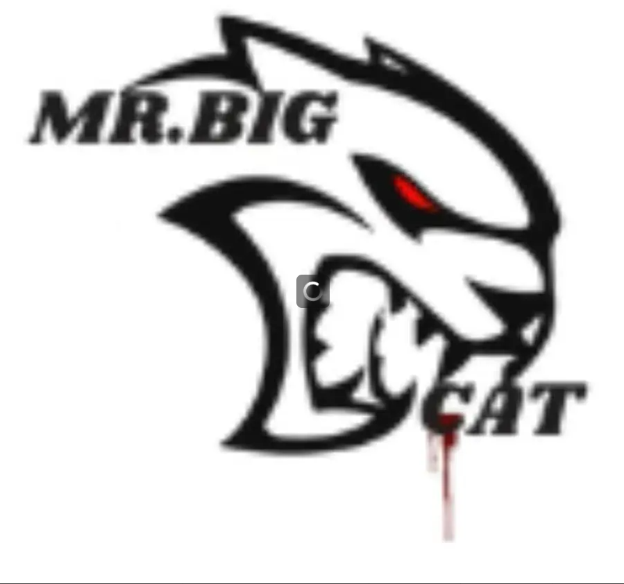 30% Deposit for Customized Mr.Bigcat VVS1 Moissanite Pendant-2